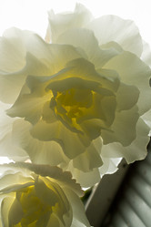 Similar image 1592994