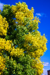 Similar image 1592995