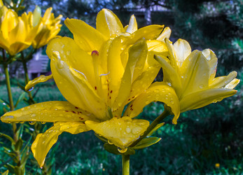 Similar image 1592998