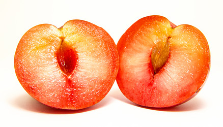 Similar image 1593001