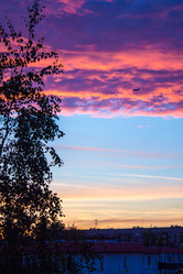 Similar image 1593003