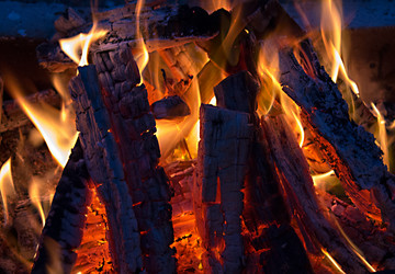 Similar image 1593006