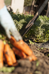 Similar image 1593030