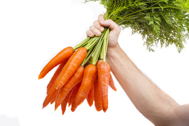 Similar image 1593054