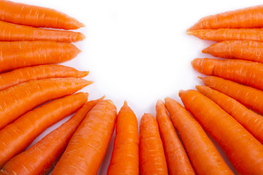 Similar image 1593055