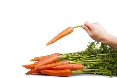 Similar image 1593056