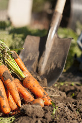 Similar image 1593060