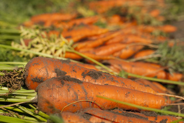 Similar image 1593063