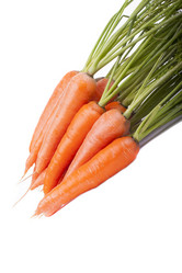 Similar image 1593064