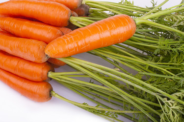 Similar image 1593066