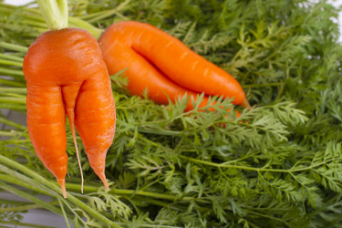 Similar image 1593067