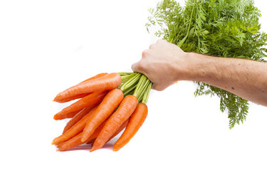 Similar image 1593068