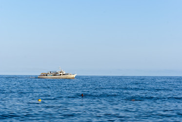 Similar image 1593083