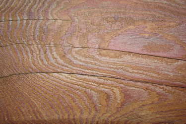 Similar image 1593095