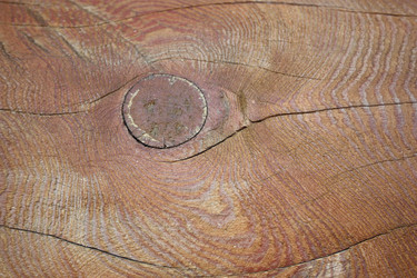 Similar image 1593097