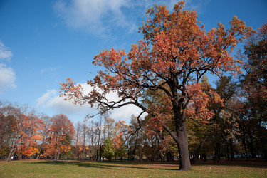 Similar image 1593102