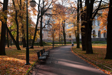 Similar image 1593103