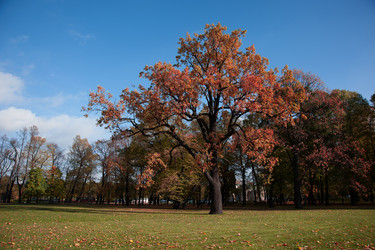 Similar image 1593104