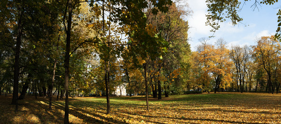 Similar image 1593105