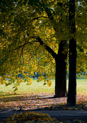 Similar image 1593108