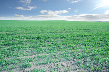 Similar image 1593150