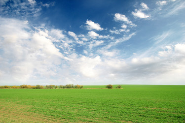 Similar image 1593152