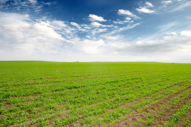 Similar image 1593154