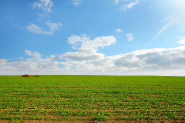 Similar image 1593155