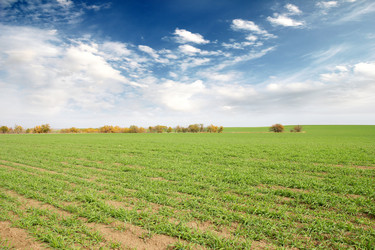 Similar image 1593158