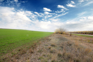 Similar image 1593160