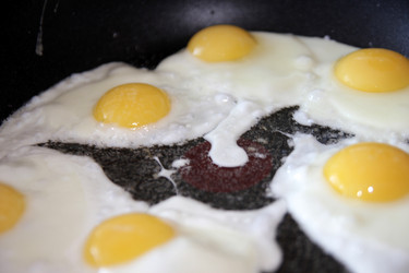 Similar image 1593177