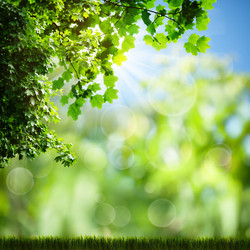 Similar image 1593204