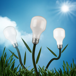 Similar image 1593205