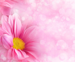 Similar image 1593214