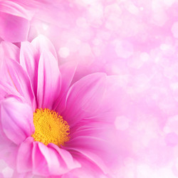 Similar image 1593215