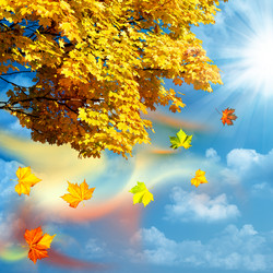 Similar image 1593219