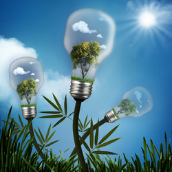 Similar image 1593221