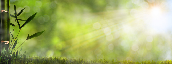 Similar image 1593223