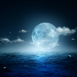 Similar image 1593225