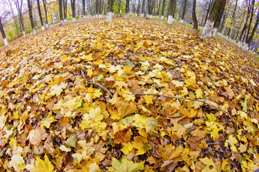 Similar image 1593228