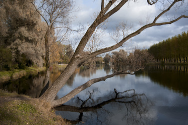 Similar image 1593246