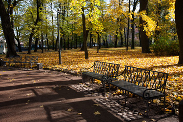 Similar image 1593247