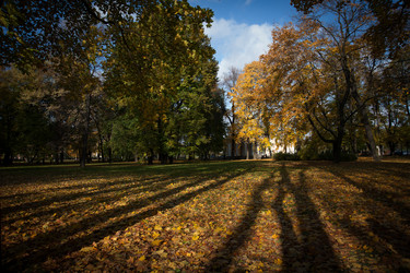 Similar image 1593248