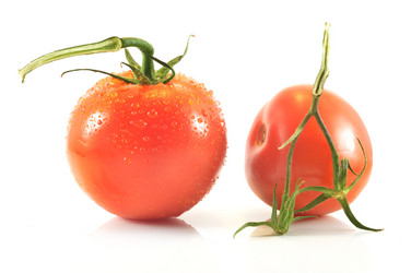 Similar image 1593335