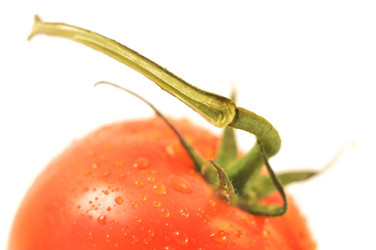 Similar image 1593336