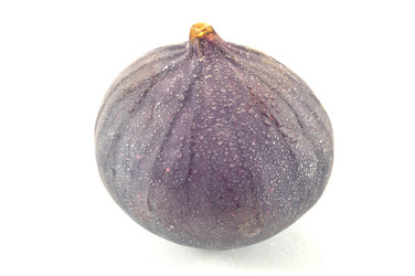 Similar image 1593339