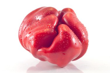 Similar image 1593340