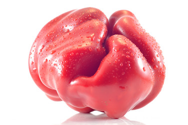 Similar image 1593341