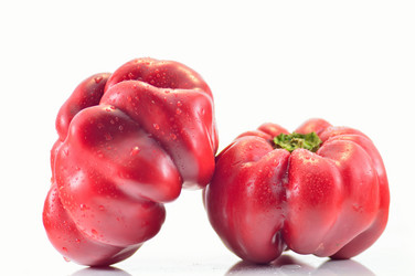 Similar image 1593342