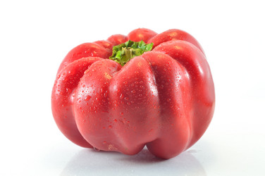 Similar image 1593343